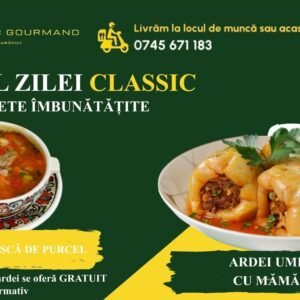 meniul zilei classic